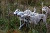 DSC_0143~5.jpg
