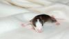 DSC_0147~3.jpg