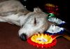 DSC_0154~10.jpg