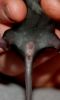 DSC_0164~4.jpg