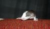 DSC_0165~1.jpg