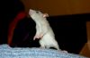 DSC_0167~11.jpg