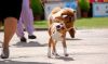 DSC_0167~19.jpg