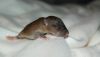 DSC_0167~7.jpg