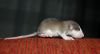 DSC_0170~9.jpg