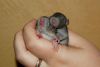 DSC_0171~11.jpg
