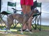 DSC_0173~11.jpg