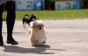 DSC_0174~9.jpg