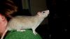 DSC_0176~4.jpg
