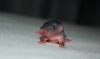 DSC_0176~8.jpg