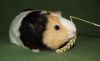 DSC_0177~0.jpg