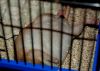 DSC_0177~2.jpg
