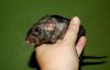 DSC_0179.jpg