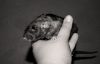 DSC_0179_mv.jpg