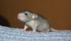 DSC_0182~6.jpg