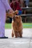 DSC_0184~9.jpg