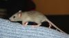 DSC_0186~12.jpg
