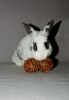 DSC_0188~2.jpg