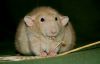 DSC_0189~2.jpg