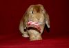 DSC_0193~0.jpg