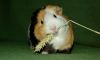 DSC_0194~3.jpg