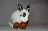 DSC_0196~2.jpg