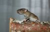 DSC_0207~4.jpg