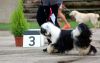 DSC_0208~8.jpg