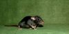 DSC_0219~6.jpg
