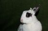 DSC_0223~1.jpg