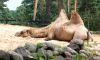 DSC_0225~1.jpg