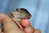 DSC_0225~4.jpg