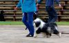 DSC_0228~8.jpg