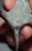 DSC_0232~4.jpg