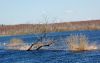 DSC_0241~2.jpg