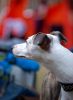 DSC_0250~3.jpg