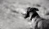 DSC_0252~9.jpg