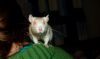 DSC_0254~2.jpg