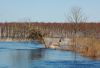 DSC_0258~3.jpg
