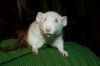 DSC_0269~4.jpg