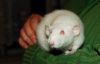 DSC_0277~2.jpg