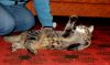 DSC_0296~1.jpg