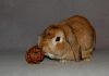 DSC_0297~2.jpg