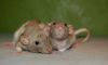 DSC_0298~2.jpg
