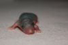 DSC_0298~3.jpg