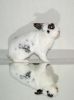 DSC_0298~7.jpg