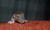 DSC_0303~3.jpg