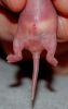 DSC_0312~3.jpg