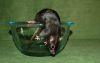 DSC_0315~5.jpg