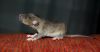 DSC_0317~3.jpg